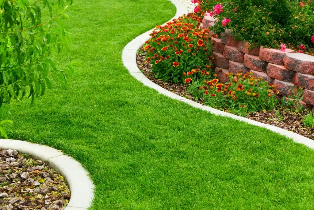 Lawn Edging Ideas