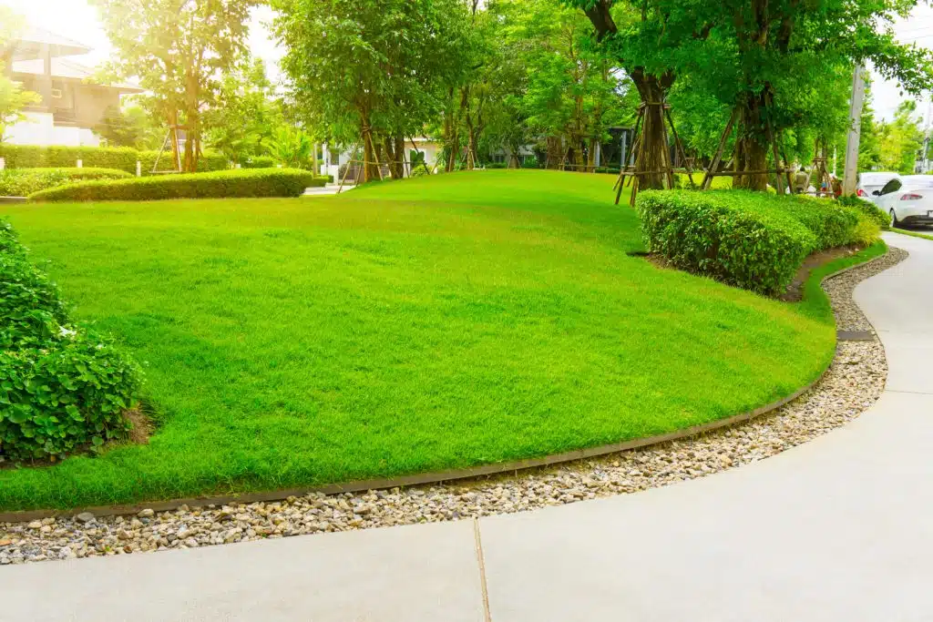 Lawn Edging Ideas